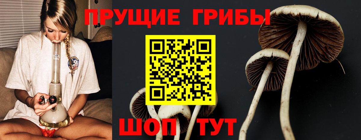 Галлюциногенные грибы MAGIC MUSHROOMS Родники